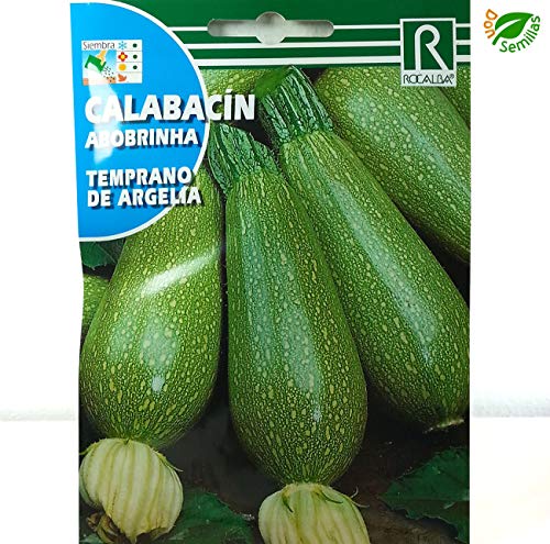 Preisvergleich Produktbild AGROBITS Laçin Temprano de Argelia (8 gr / 64 Meere ca.) - lacin
