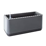 AIRY Box - Natürlicher Luftreiniger für Allergiker - Patentierter Pflanztopf als Filter gegen Schadstoffe, Haus-Staub...