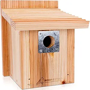 Bird Houses for Outside - DIY Handmade from Fir Wood with Mounting Kit, Wire Mesh and Door That is Easy to Build and Clean Nest for Backyard and Patio, Perfect for Bird Watching & Nesting