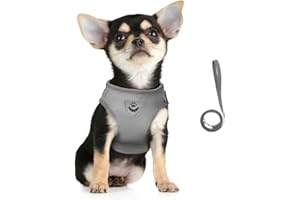FEimaX Imbracatura e Guinzagli Set per Cani, Pettorina Imbottita a Morbida per Cuccioli e Gatti, Imbracature di Traspiranti Regolabili Riflettenti per Camminare, Corsa, Allenamento