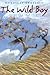 The Wild Boy (Frances Foster Books) by Mordicai Gerstein (2002-09-25) by 
