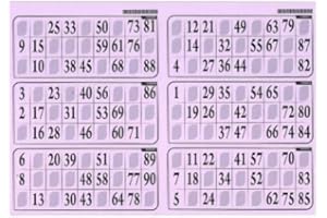 cavernedesjouets Carton de Jeu Loto - 6 grilles sur Une Plaque 29x20cm, Epais Rigide 1 mm, Usage Frequent - Coloris Lilas - Set ccessoire et Carte