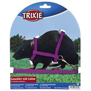 Trixie Nylon arnés con correa para los hurones/ratas, 12 – 25 cm x 8 mm, 4 unidades