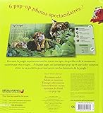 Image de Jungle mystérieuse en pop-up