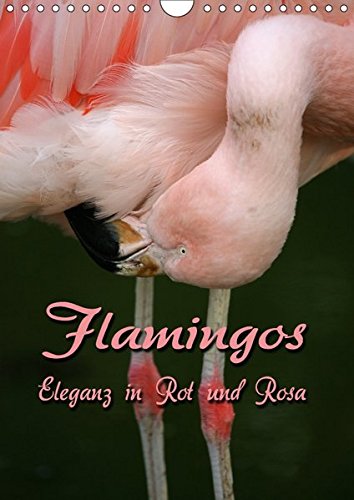 Flamingos - Eleganz in Rot und Rosa (Wandkalender 2018 DIN A4 hoch): Auf Augenhöhe mit Flamingos (Monatskalender, 14 Seiten ) (CALVENDO Tiere) [Kalender] [Apr 01, 2017] Berg, Martina