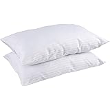 feather pillow tick case