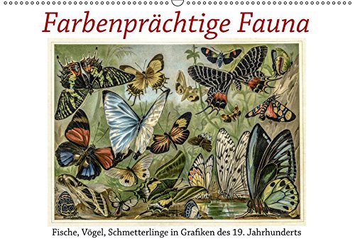 Grafiken Test Vergleich 2018 Die Besten Grafiken - 