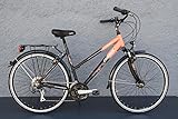 e bike trekking test bis 2000 euro  28\