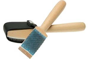 Langlauf Schuhbedarf Brosse rugueuse avec protection pour chaussures de danse avec semelle en cuir chromé - Brosse à chaussures de danse - Brosse à chaussures de danse
