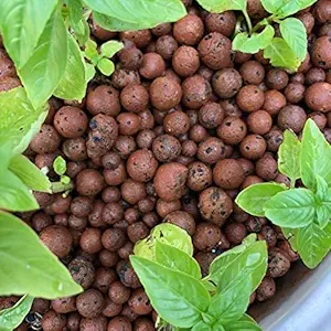 Bio Blooms Agro India Private Limited Clay Balls for Hydrotons, Leca Lightweight Expanded Aggregate, Ball for Hydroponics and Aquaponics, 2 Kg