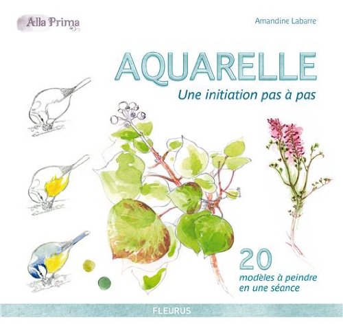 <a href="/node/40500">Aquarelle une initiation pas à pas</a>