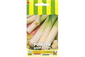 Sachet de graines de Poireau géant précoce - 4 g - légume bulbe - LES GRAINES BOCQUET