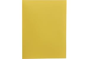 Alevar Cartellina 3 Lembi in Cartoncino Bristol 200 gr, Formato 25x34,5 cm, Colore Giallo, Confezione da 25 Pezzi