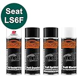 Klarlack-Sprühdose mit Weichmacher als hochglänzender aber elastischer Abschluss