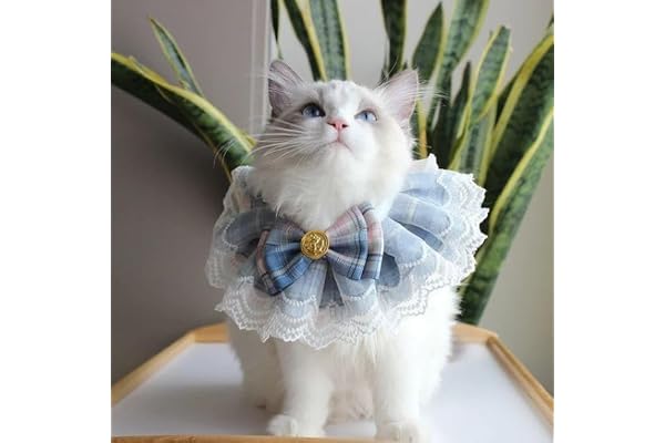 KittuPet Cat Collar - Delicate and Cute Lace Dog Bandana, Pet Bib with Bow Collars Pet Scarf Saliva Towel (Small, Blue)
