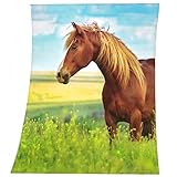 Hochwertige Verarbeitung: Strapazierfähig und langlebig, Pflegeleicht: Waschbar bei 40°C, Trocknergeeignet