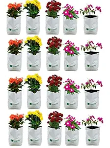 Cocogarden UV Stabilized Poly Grow Bags 20x20x40 cms (White, Pack of 20)