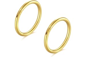 Longita Hinged Clicker Segment Hoop Nez Anneaux 16G Acier Chirurgical Septum Piercing Hoop Helix Cartilage Daith Tragus Boucle d'oreille pour Femme Homme Piercing Levre Nez Anneaux 3 Pièces