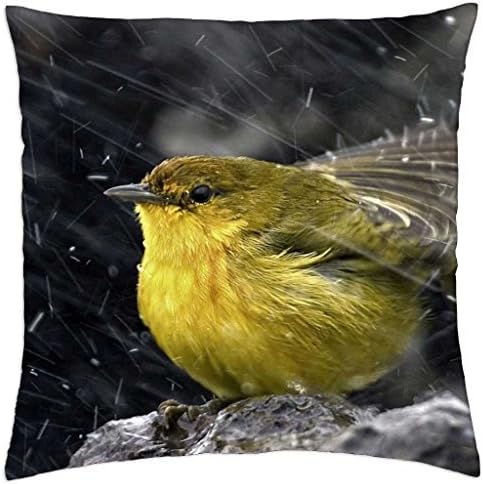 Oriolus Chinensis - Throw Pillow Cover Case (18