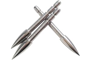 SHARROW 12 Piezas 100/120/150/200 Grains Punta de Flecha Insertar Puntas Consejos Punto para Flecha de Carbono ID 4.2mm