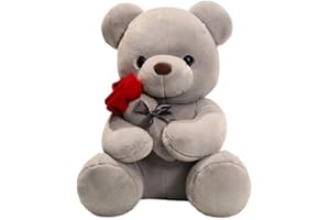 wiztex Teddy Bear Peluche – Adorabile Orsetto di Peluche per Compleanni, Natale e San Valentino | orsacchiotto di peluche regalo di peluche per bambini (Grey Teddy Bear)