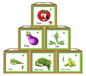 Sow and Grow Seed Starter 6 Vegetable Grow Kits : Brinjal+Okra+Chilli+Tomato+Karela+Gheeya || DIY Easy Grow it Yourself Gardening Kit for Home and Garden || A Complete Beginner Gardeners Gardening Set