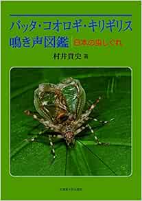 Amazon Fr バッタ コオロギ キリギリス 鳴き声図鑑 Livres Amazon Fr バッタ コオロギ キリギリス 鳴き声図鑑 Livres