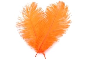 DUORIES 10 piume di struzzo naturali da 20 – 25 cm, per fai da te, per acchiappasogni, accessori per la casa, costumi, decorazione per la tavola, matrimoni, feste, cappelli decorativi, arancioni