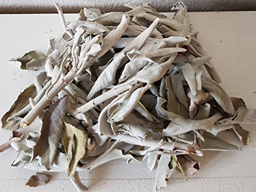 Native-Spirit Encens en Vrac Sauge Blanc 50 g