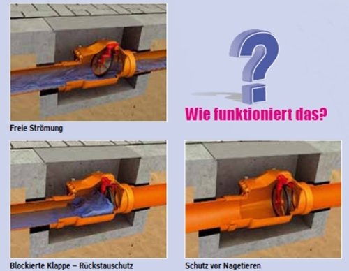 Rückstauverschluss/Rückstauklappe DN50 mm-mit Edelstahlklappe - 4