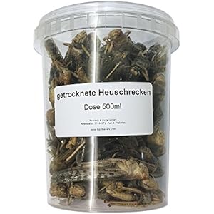 500ml Heuschrecken getrocknet Futterinsekten Reptilienfutter Fischfutter Igelfutter Nagerfutter