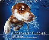 Underwater Puppies by Seth Casteel
