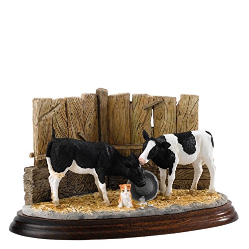 BFA Studio James Herriot