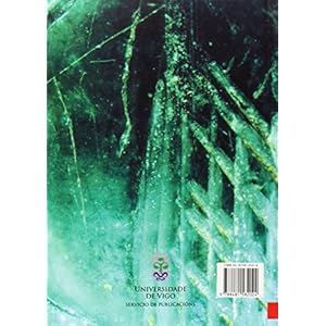 O vidro provincial galaicorromano (Monografías da Universidade de Vigo.Humanidades e Ciencias Xurídico-Sociais)