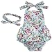 TiaoBug Baby Girls Floral Cherry Ruffles Romper Bodysuit Summer Dress with Headband Blue Rose 6 Months