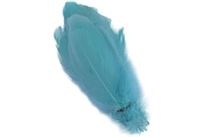 Sowder - Accesorios de ropa de plumas de ganso natural, paquete de 100. Color verde menta