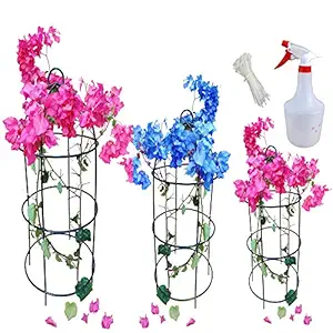 SAI PRASEEDA Rust Proof Painted Metal Trellis for Small Plants_Creeping Plants Support_(Diameter X Height) Large_30 X 66 Cms_Medium_25 X 61 Cms_Small_20 X 56 Cms_Set of 3_with Water Spray Bottle