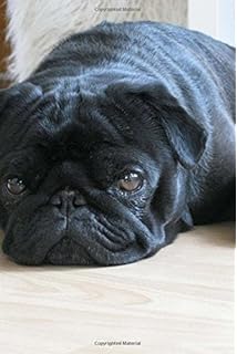 vodafone dog ki kimat