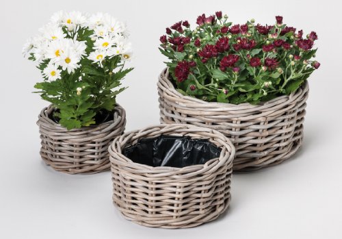 Preisvergleich Produktbild Pflanzschalen-Set „Kobo“ PFLANZSCHALE 3ER KOBO GRAU 87629