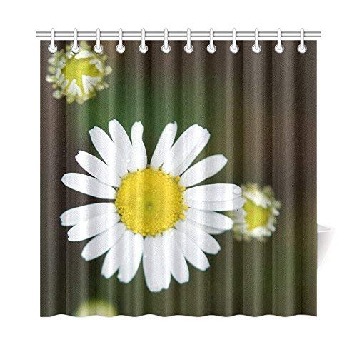 HOJJP Bath Curtain Daisy Daisies Flower Wild Flower Yellow Polyester Fabric Waterproof Shower Curtain for Bathroom, 60W X 72L Inches Shower Curtains Hooks Included