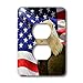 Price comparison product image 3dRose LSP_21650_6 Bald Eagle and American Flag 2-Plug Outlet Cover