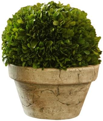Preserved Boxwood Ball in Grey Pot, Large