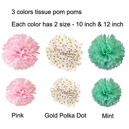 Wartoon 6 Seidenpapier Pompons Blumen und 12 Quasten Girlande, 2 Polka Dot Papier Girlande, 10 Luftballons Latexballons für Geburtstag, Hochzeit, Baby Dusche, Parteien, Partei Dekoration - 2