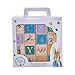 Rainbow Designs - Peter Rabbit - ABC Wooden Blocks