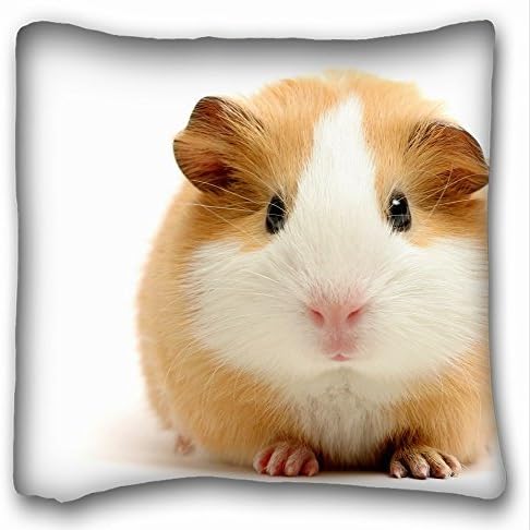 Decorative Square Throw Pillow Case Animals hamster guinea pig s big beautiful 18"*18" Two Side