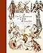 Die Abenteuer des Pinocchio by