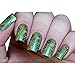 Born Pretty 10 PCS Nail Art Stamp Template Image Plates BP46-55