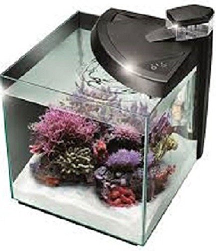 NEWA MORE 30 LITRI dolce