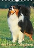 Australian Shepherd (Wandkalender 2014 DIN A4 hoch): Schöne Aufnahmen aus dem Leben von Australian Shepherd (Monatskalender, 14 Seiten) by