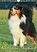 Australian Shepherd (Wandkalender 2014 DIN A4 hoch): Schöne Aufnahmen aus dem Leben von Australian Shepherd (Monatskalender, 14 Seiten) by